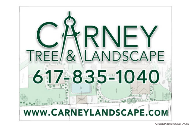 Carney Tree & Landscape