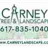 Carney Tree & Landscape